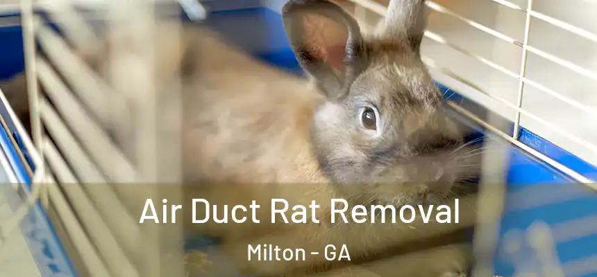  Air Duct Rat Removal Milton - GA