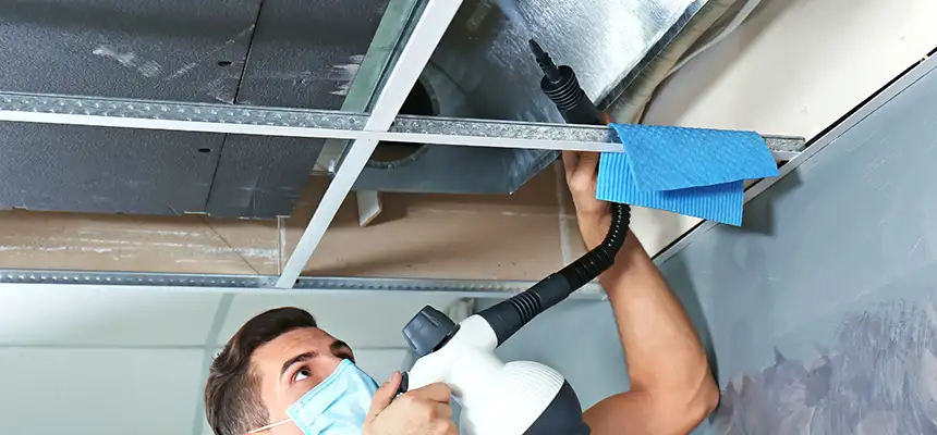 Our Air Duct Rodent Removal Services in Milton, GA