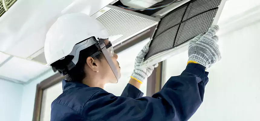 Our Mold & Mildew Removal from Air Ducts Services in Milton, GA