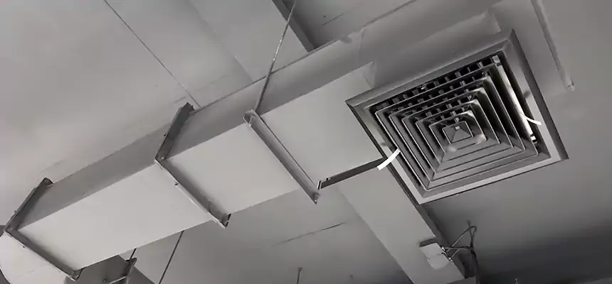 Our Pest Removal From Ducts Services in Milton, GA