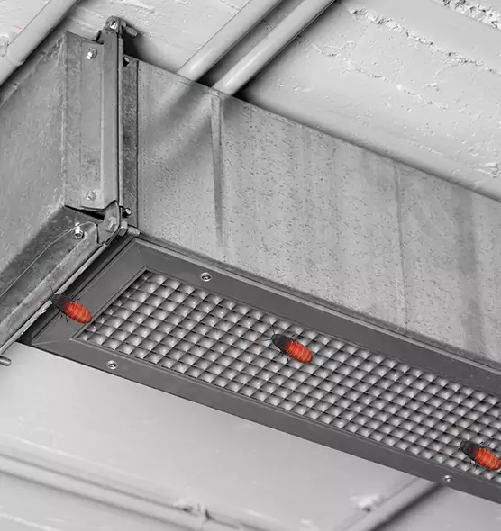 About Air Duct Cockroach Removal in Milton, GA