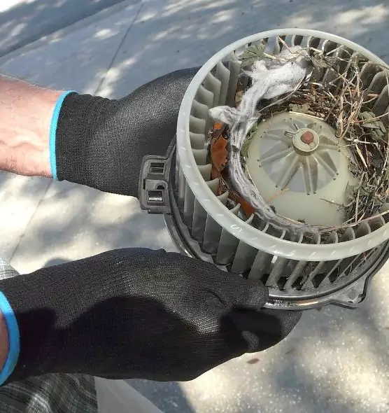 About Air Duct Mice Removal in Milton, GA