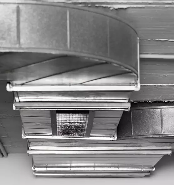 Professional Air Duct Pest Removal in Milton, GA