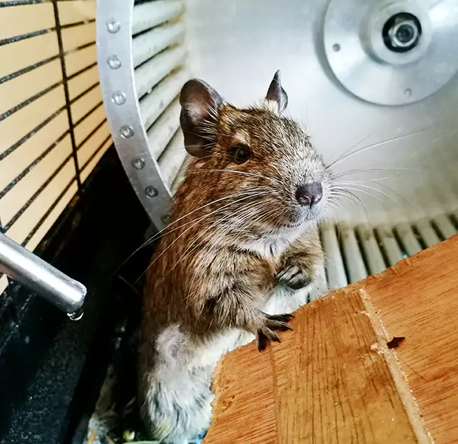 Why Homeowners & Businesses Trust Us Milton, GA?