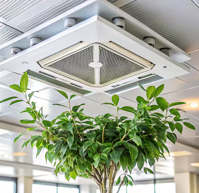 Why Homeowners & Businesses Trust Us in Milton, GA?